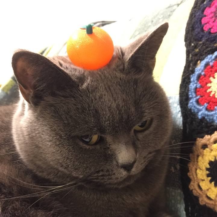 174dfcdf 693c 4255 a0a3 1084c0beae0b