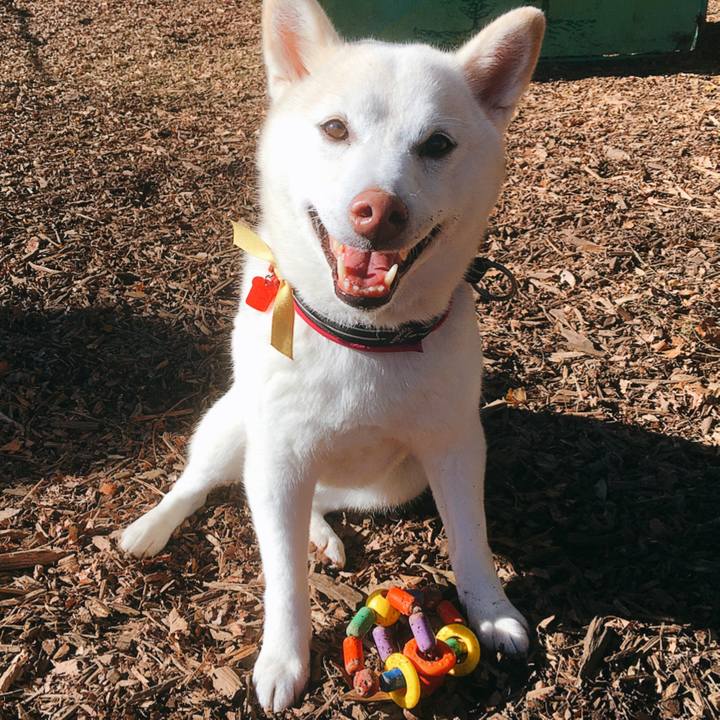 174e05ee 921e 464c 828f ac448ecb7d6a