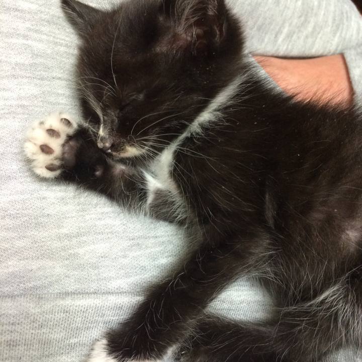 174e2e9a d073 4332 b408 82db9951f0ba