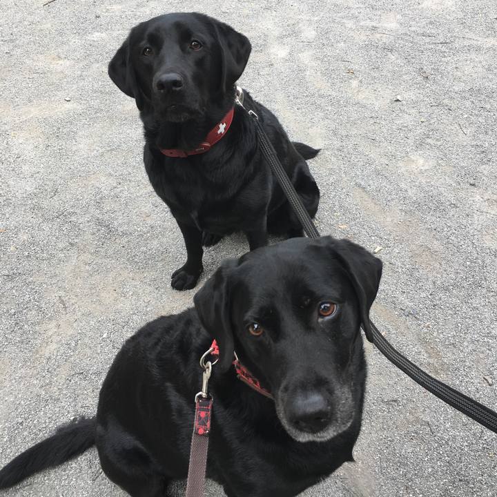 174e40ed 53a2 441a b946 13d7e7a164e3