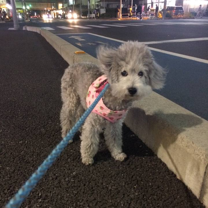 174e78de c074 4895 b6da 10c7d34883e6