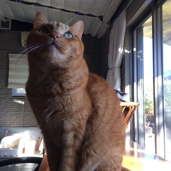 174e908c a21a 4eae 98a4 f5944559f949