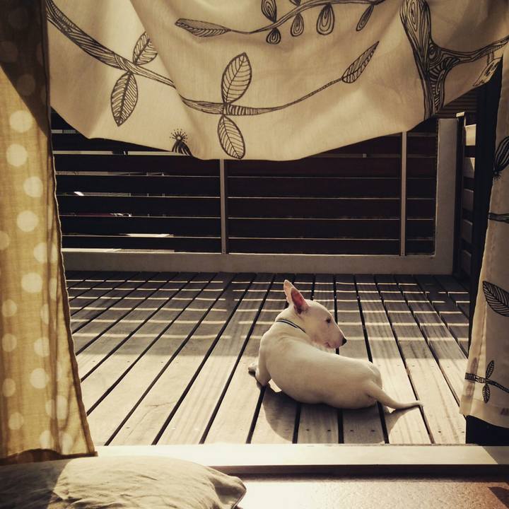 174ee710 8e1e 49d9 91dc 60a9d73127af