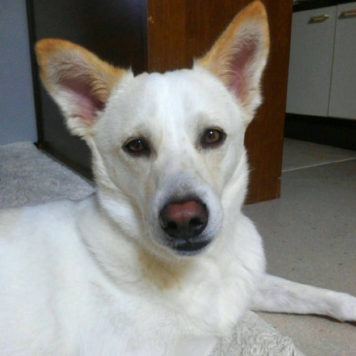 174fcb77 f6a1 44ce aa68 34b8e45e2941