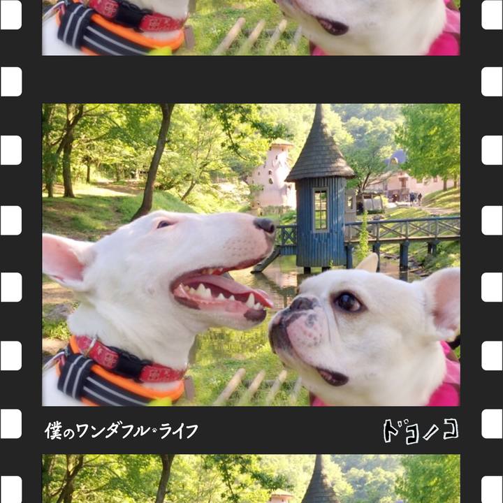 174fd4eb 4c5e 4a64 8e4d e073f187970f