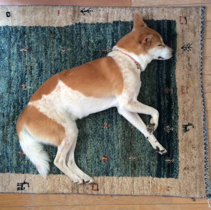 174fd54b a5f3 44b9 8078 535d79f4e20c