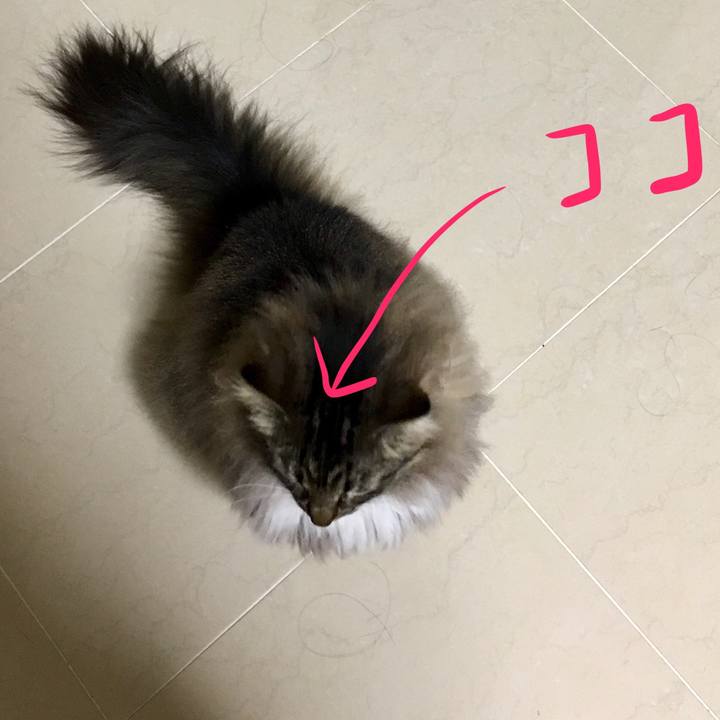 1750105c 7a0e 4628 9e47 0a89cb53a8c0