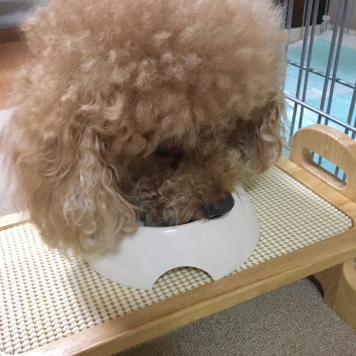 17504158 2fd6 40e0 8623 de2f1bb90e68