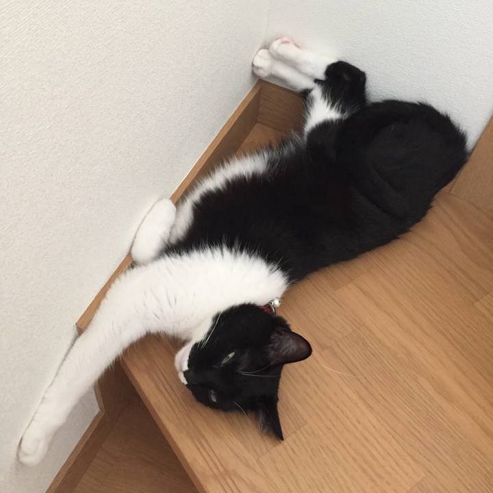 1750b4bb 1018 4508 9301 504af6c44874