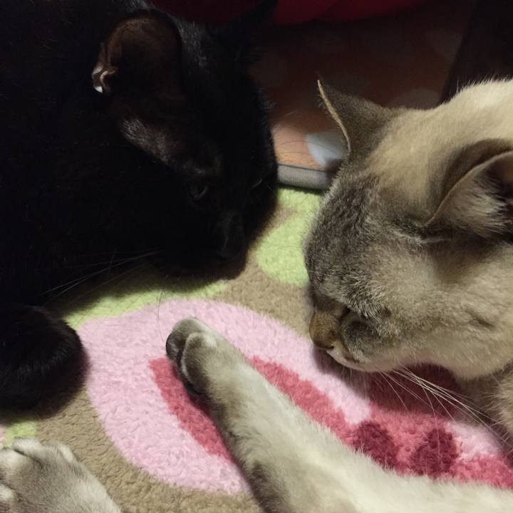 1751d1c0 3361 49c7 8104 ad995eb94e02