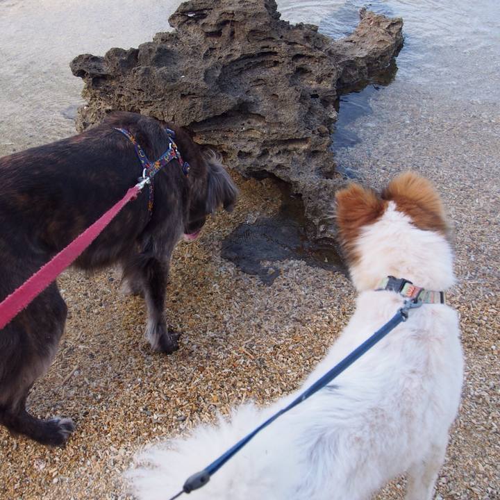 17521340 1295 4ce9 9ff3 e0cee334fed2