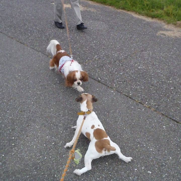 17527959 bd98 4c04 9a7a b6b0965c9cb0