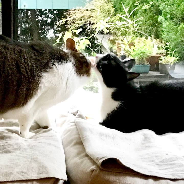 1752f5e6 5fff 467f bdc2 e68575fc08b8