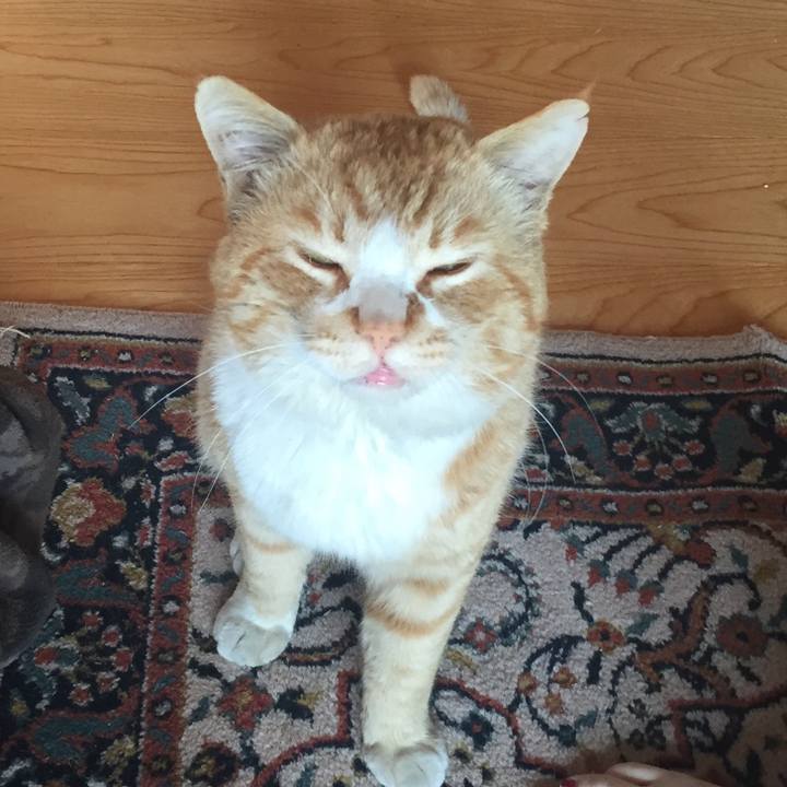 175366fe 9d98 4268 a1fd f83dd5ad34a9