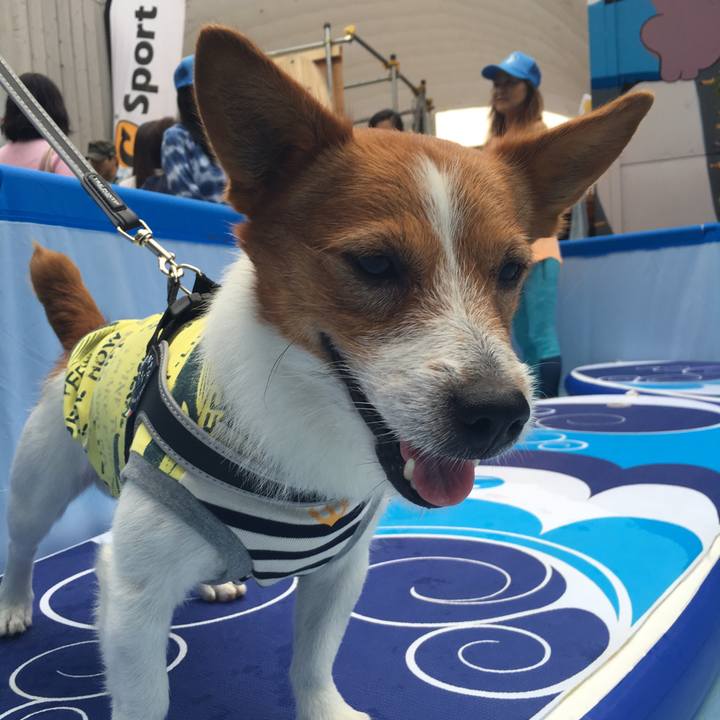 1753c53a fba7 4386 a9e2 6e6029857de0