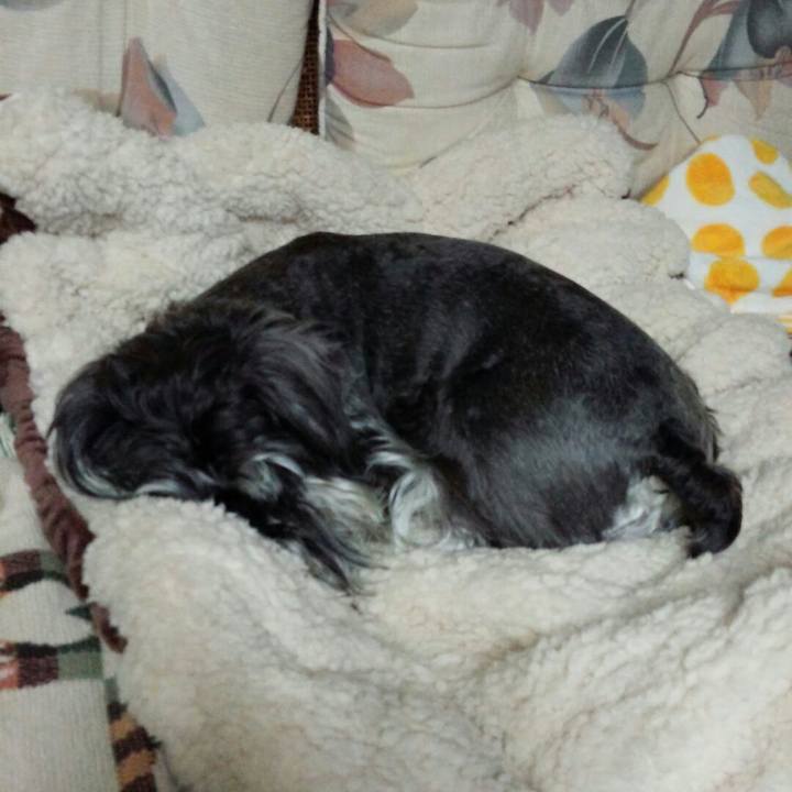 17548fac 21eb 4211 8c4c ff1320eb8f4b