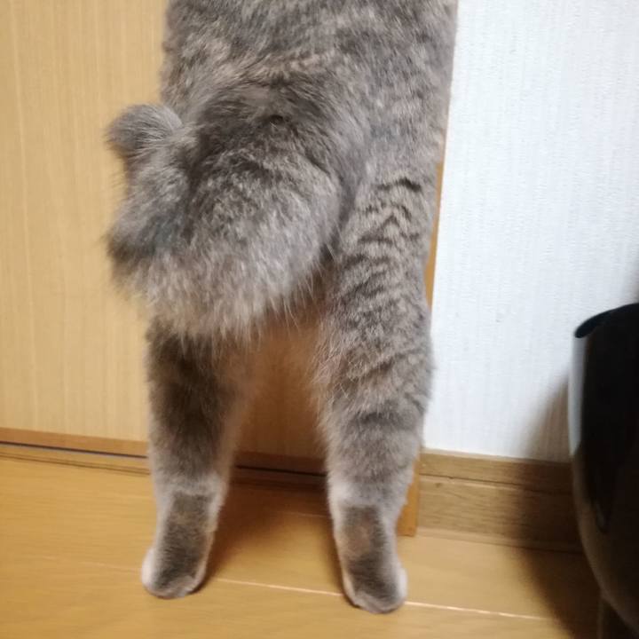 1754a9c2 6d44 4c45 aa42 8f76c95b831c