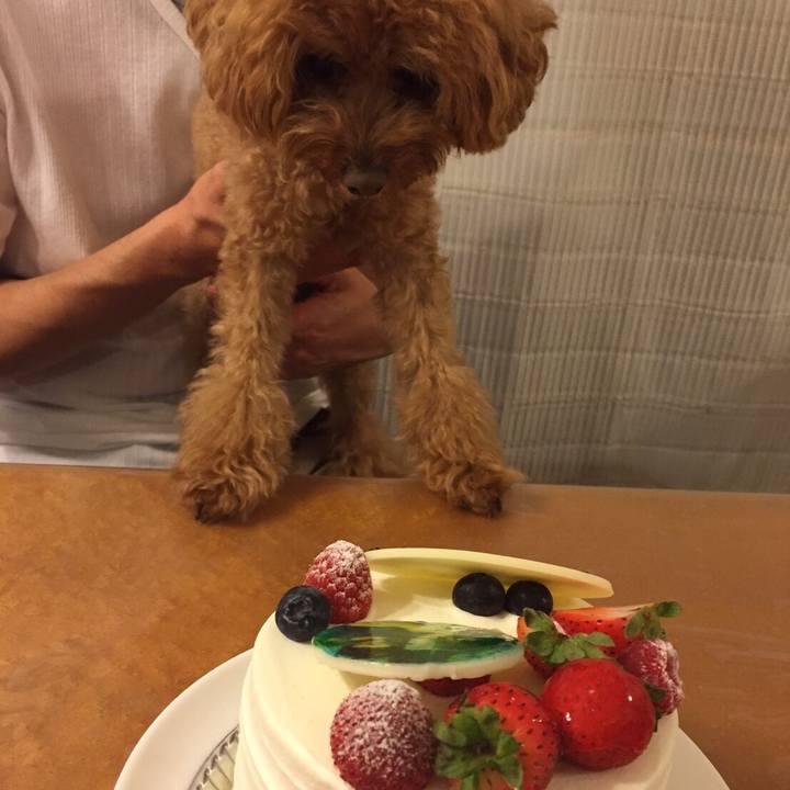 17555734 c219 4537 ad60 e780af903472