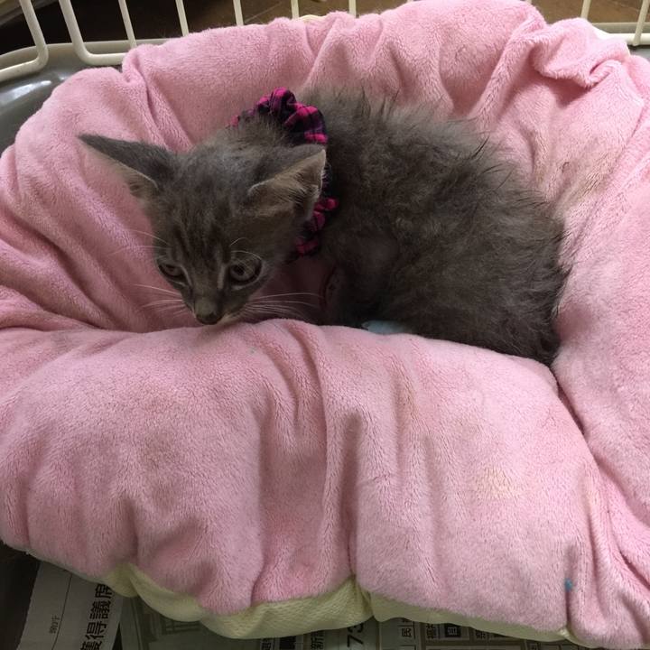 17556e2e 849d 4048 9b6c 005d0426ac04