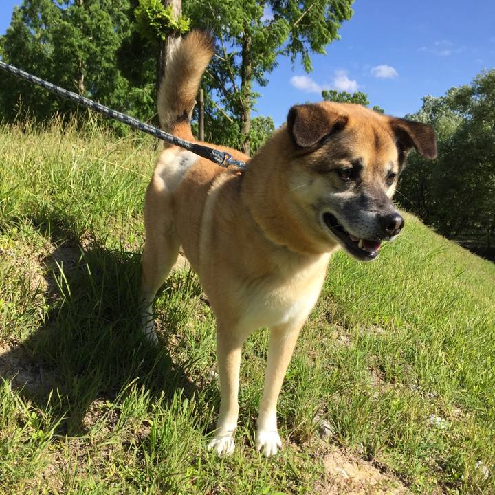 175592a1 3265 457a ba2c 65e090b36fd9