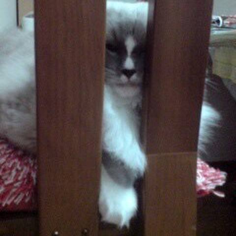 175680e9 a122 4127 8c2e ce40db0b6447