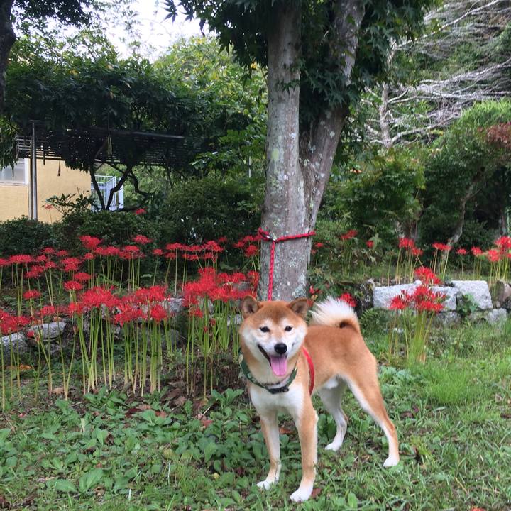 1756c002 dd49 4057 a907 989756b2d0d1