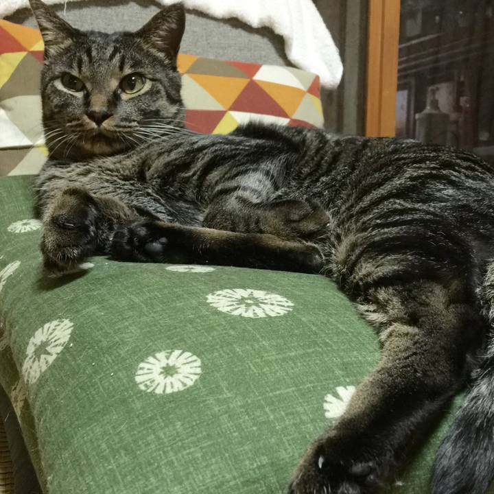 1757057a 4d76 4cc9 9037 09bbb1308267