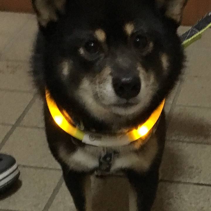 17574c90 63dd 46a3 9380 ebd84889c44f