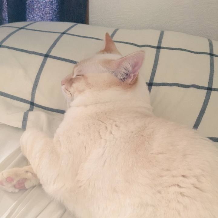 17583eb8 7a0d 4242 9082 d22457d958e7