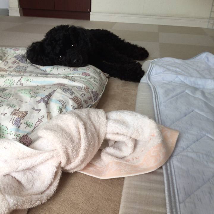 17584732 81bd 4aed 88e7 a4ec88b88b2b