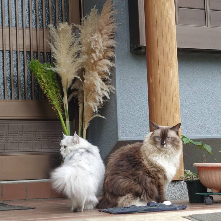 17590849 0152 4d8a b167 534eb908662c