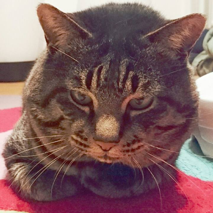 17596409 efb4 46db b32b f79c90b380b6