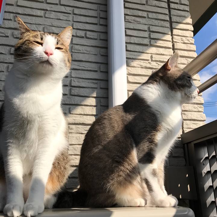 1759a8f0 e48f 4874 a133 6c2c517f89e9