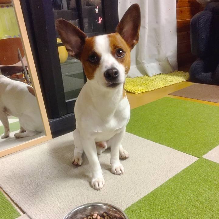 1759b64c 4411 496b bf1b 2633a532e86e