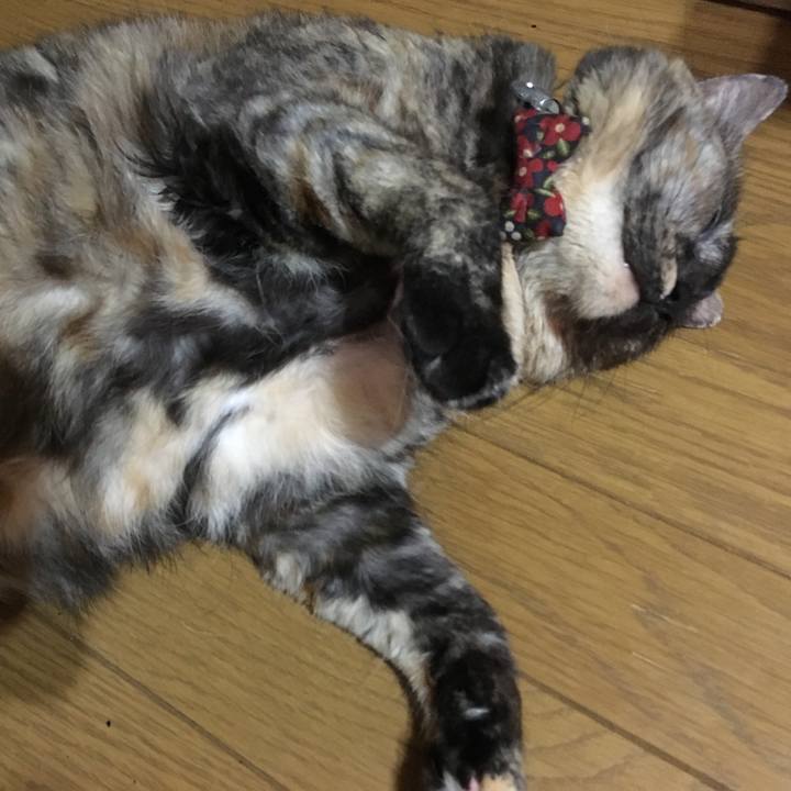 175a1ee3 bf55 47c4 8437 2ebbe7d4da08