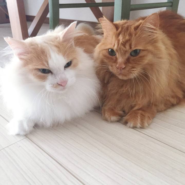 175a2179 9ab8 4bdb 8369 84966097ed8e