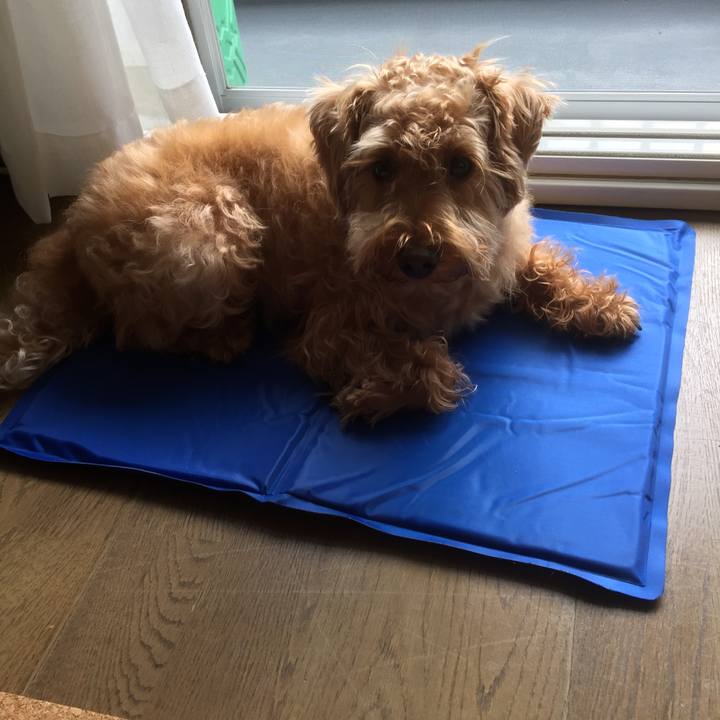 175a4158 3534 45ca a023 ecb2c2f03370