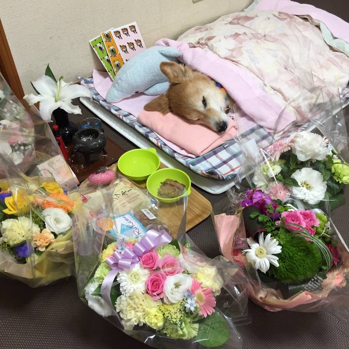 175a6458 e174 4eee 9060 5413cecf6d0c