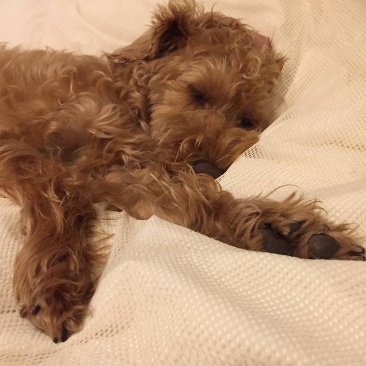 175a77ba 248b 408c ac86 7ce536f0e283