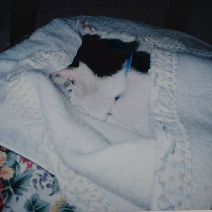 175b4898 aad6 4daa 87fa f9e8e98f48ce