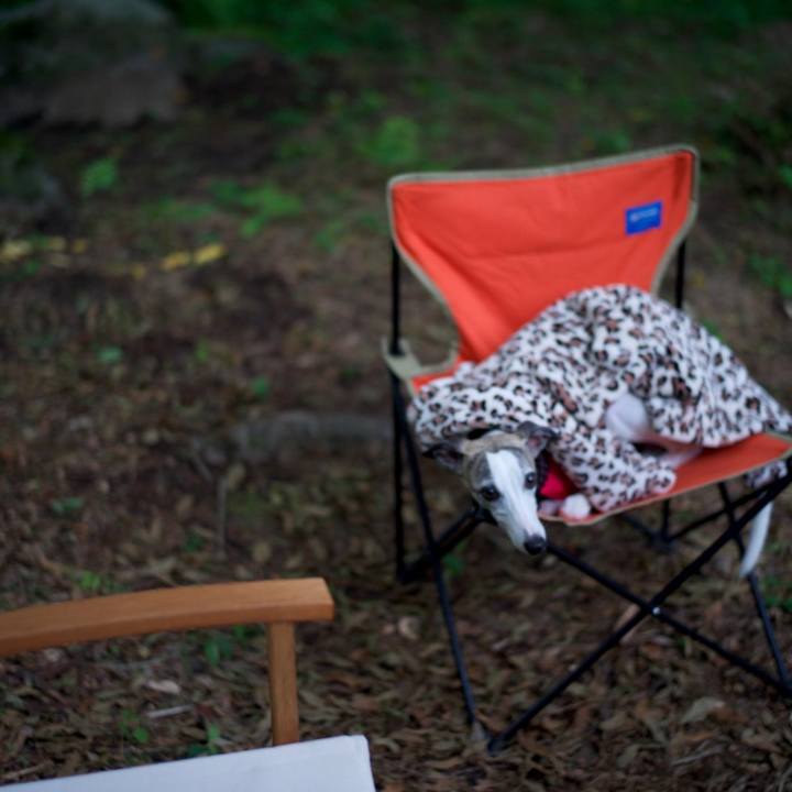 175c1289 2828 4858 a347 04ef79c6750a