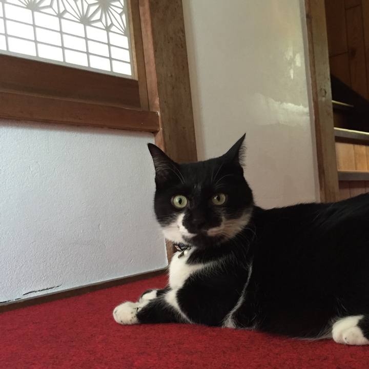 175c7772 521c 45f1 a1bf b783347a662b