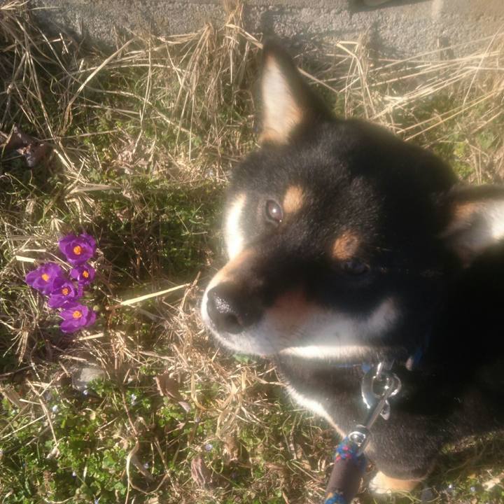 175e161b 5796 4a33 accc 3d0de33b1848