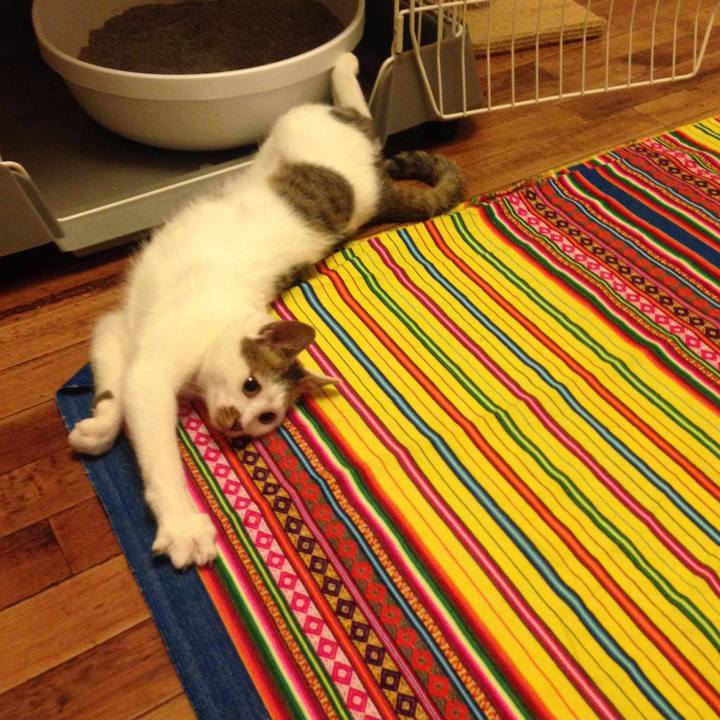 175ef201 18bd 43f3 add1 443744b4c31c