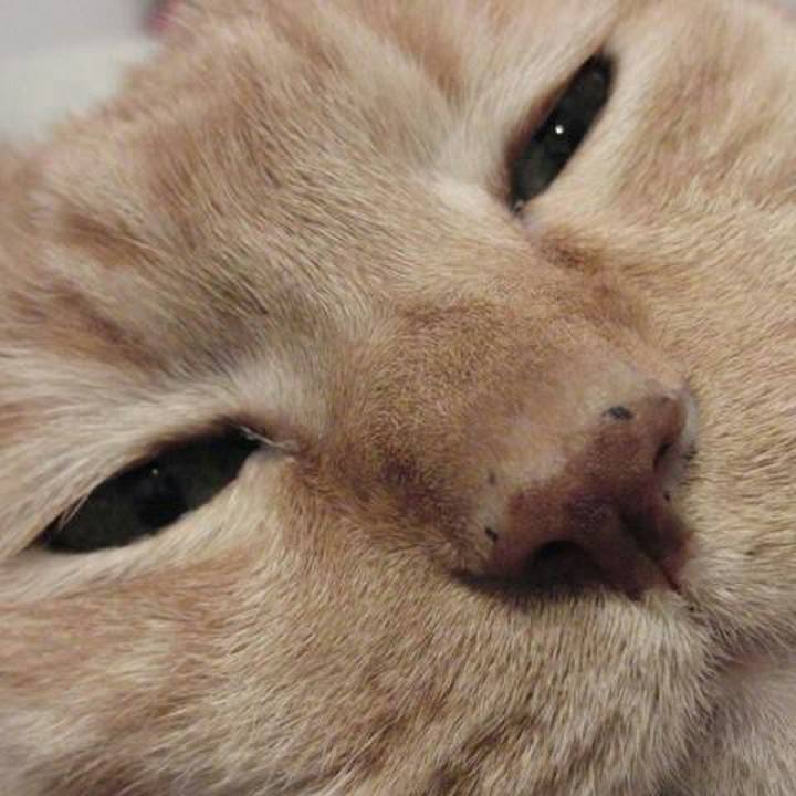 175ef6bb da30 428e 9e6c 290c79e8e96f