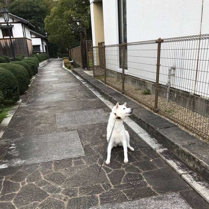 175f7bab 22c4 42d7 8e86 b4d483e903fe