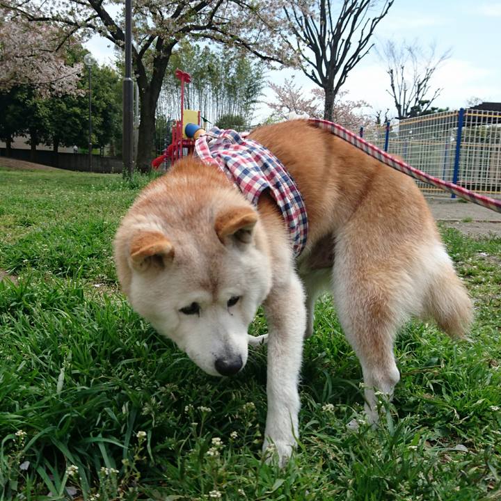 175f9cf6 dcff 4261 aa23 f39303c7c8fd