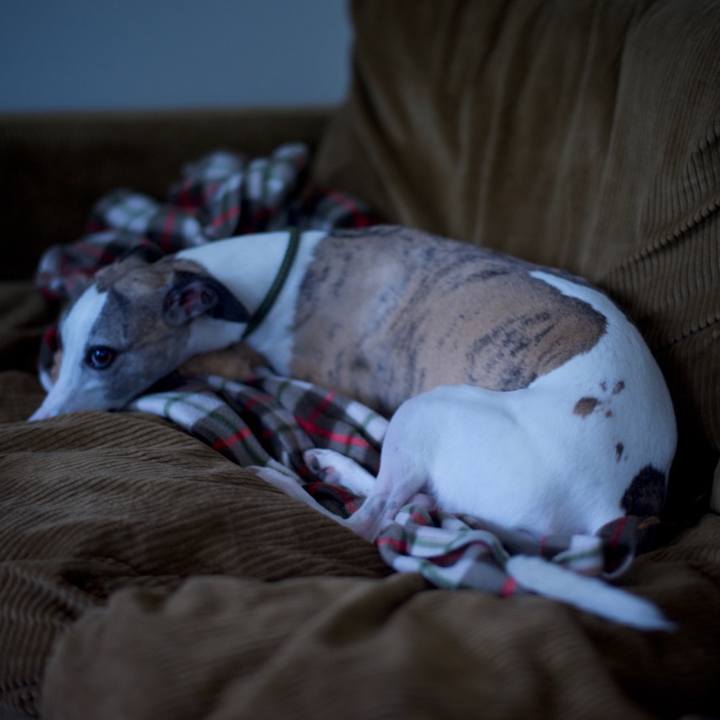 17606145 4bf4 4cd8 aedd 0cfadd0017d9