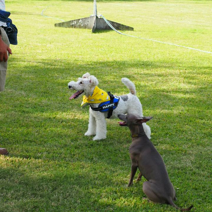 176096c7 d415 4911 863a cfe7cb300d9e