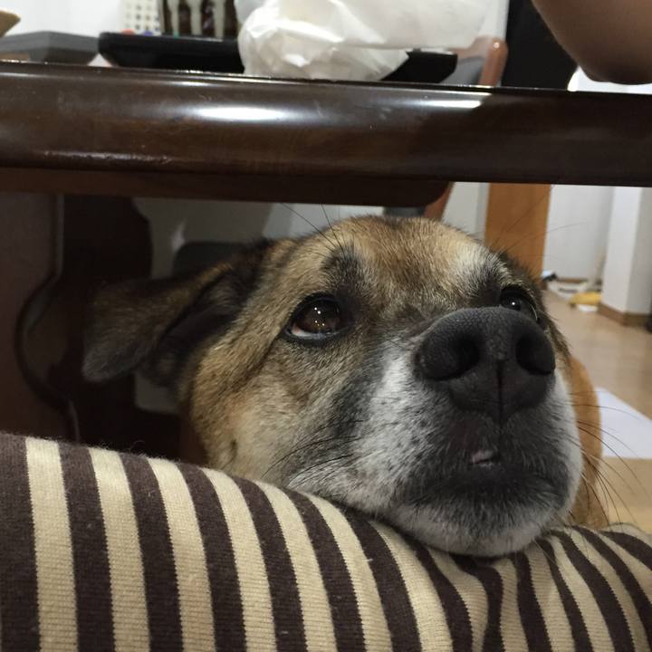 17609fc3 6f70 410b 957f 45b1274c81a0